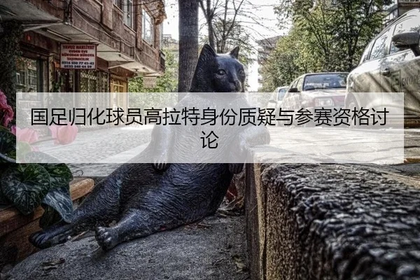 国足归化球员高拉特身份质疑与参赛资格讨论