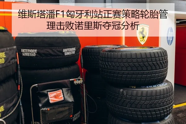 维斯塔潘F1匈牙利站正赛策略轮胎管理击败诺里斯夺冠分析